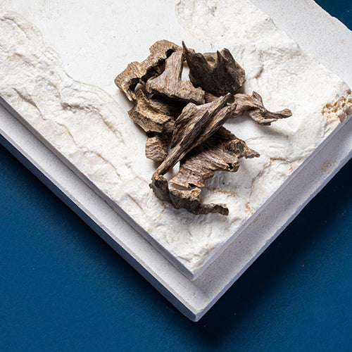 هندي – موري