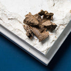 جنوب تايلاند