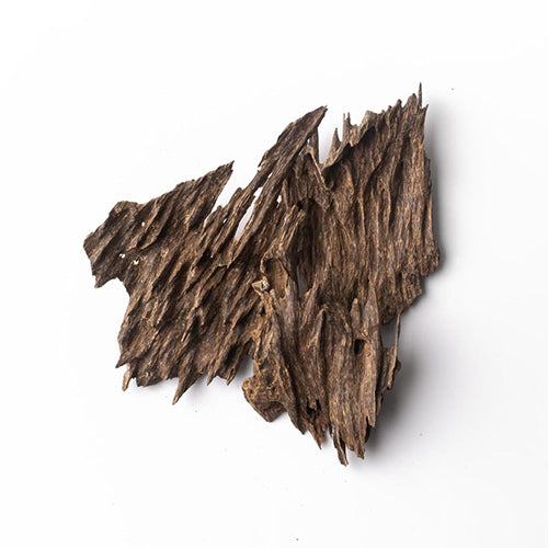 سورات – جنوب تايلاند